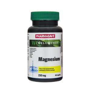 Pharmasave Wellquest Magnesium Caplet 250Mg 90S