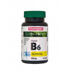 Pharmasave Wellquest Vitamin B6 100Mg Tablets 100S